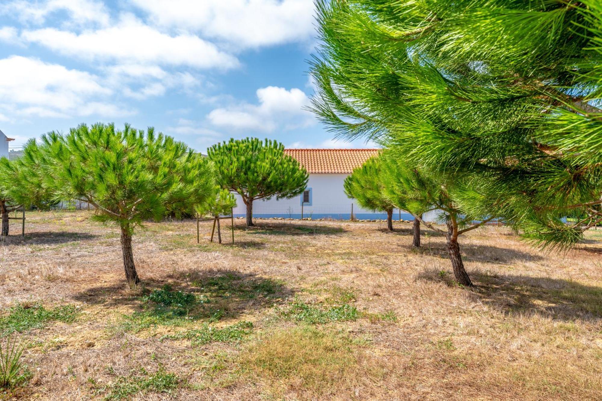 Quinta Da Bela Vista - Ericeira Galiza Exterior foto